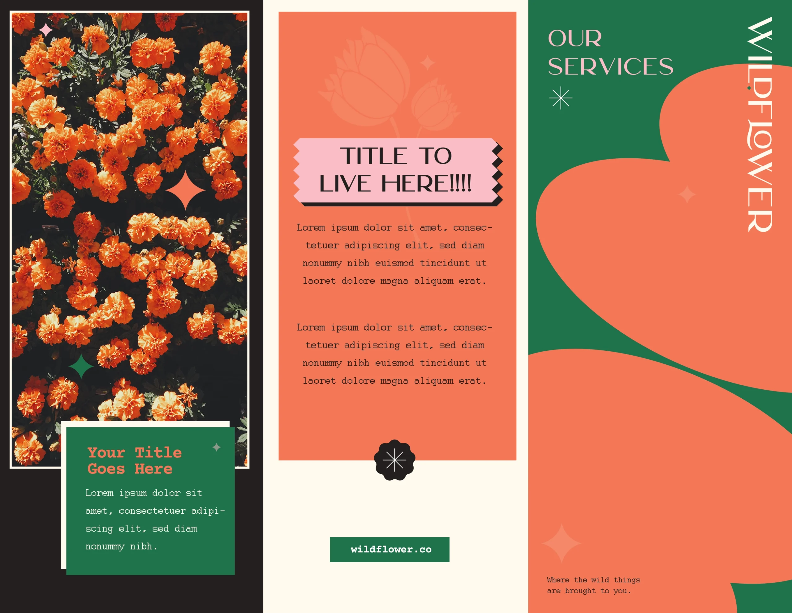 Brochures
